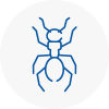 Ant Removals In Cadnam