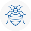 Bed Bug Extermination In Cadnam