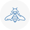 Bee Nest Removal Cadnam