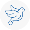 Bird Prevention Cadnam