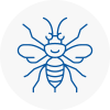 Cadnam Hornet Nest Removals
