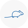 Mice Exterminators In Cadnam