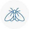 Moth Control Specialists In Cadnam