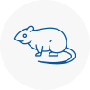 Rat Control Cadnam