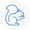 Cadnam Rodent Removals