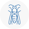 Cadnam Wasp Nest Removal